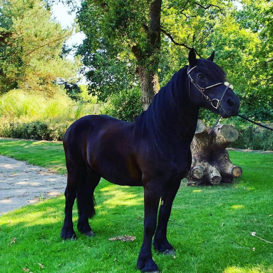 L'Echappee Saline Bed & Breakfast Saint-Molf Bagian luar foto